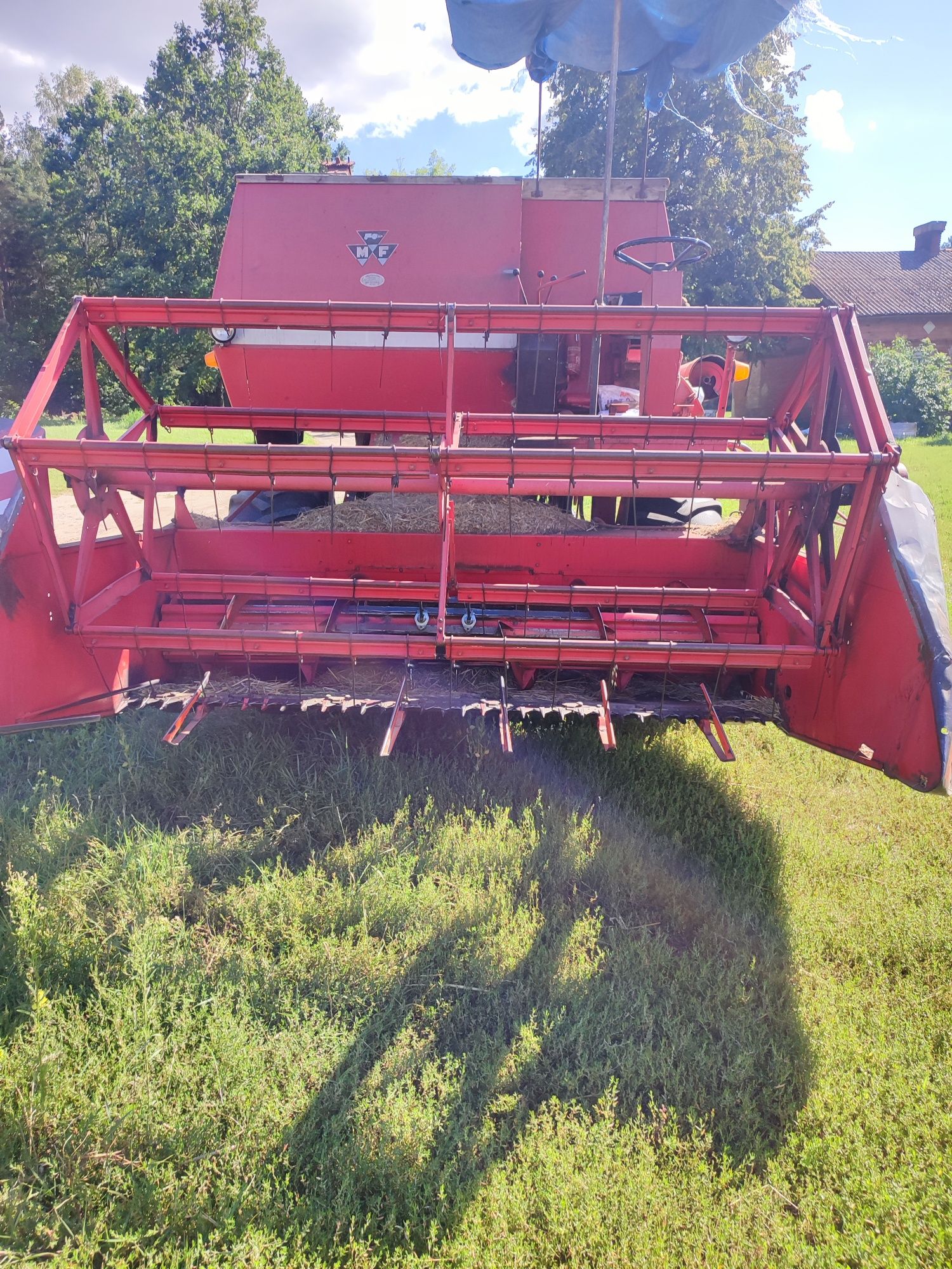Kobojn Massey Ferguson 186