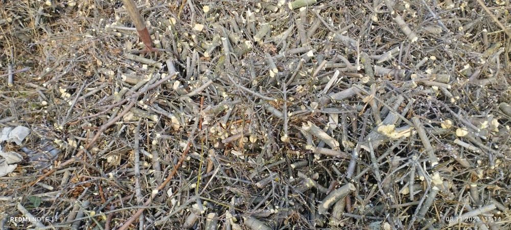 Дробления веток,оренда дробилки,измильчения ,уборка участка ,спил дере