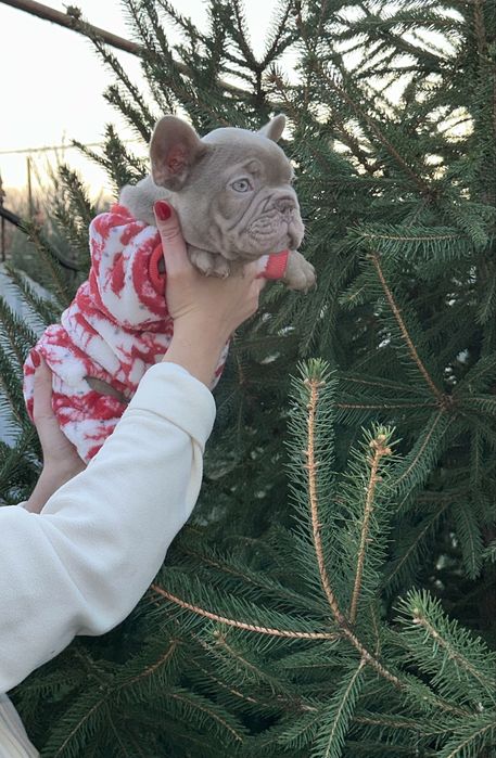 Новотипний міні хлопчик