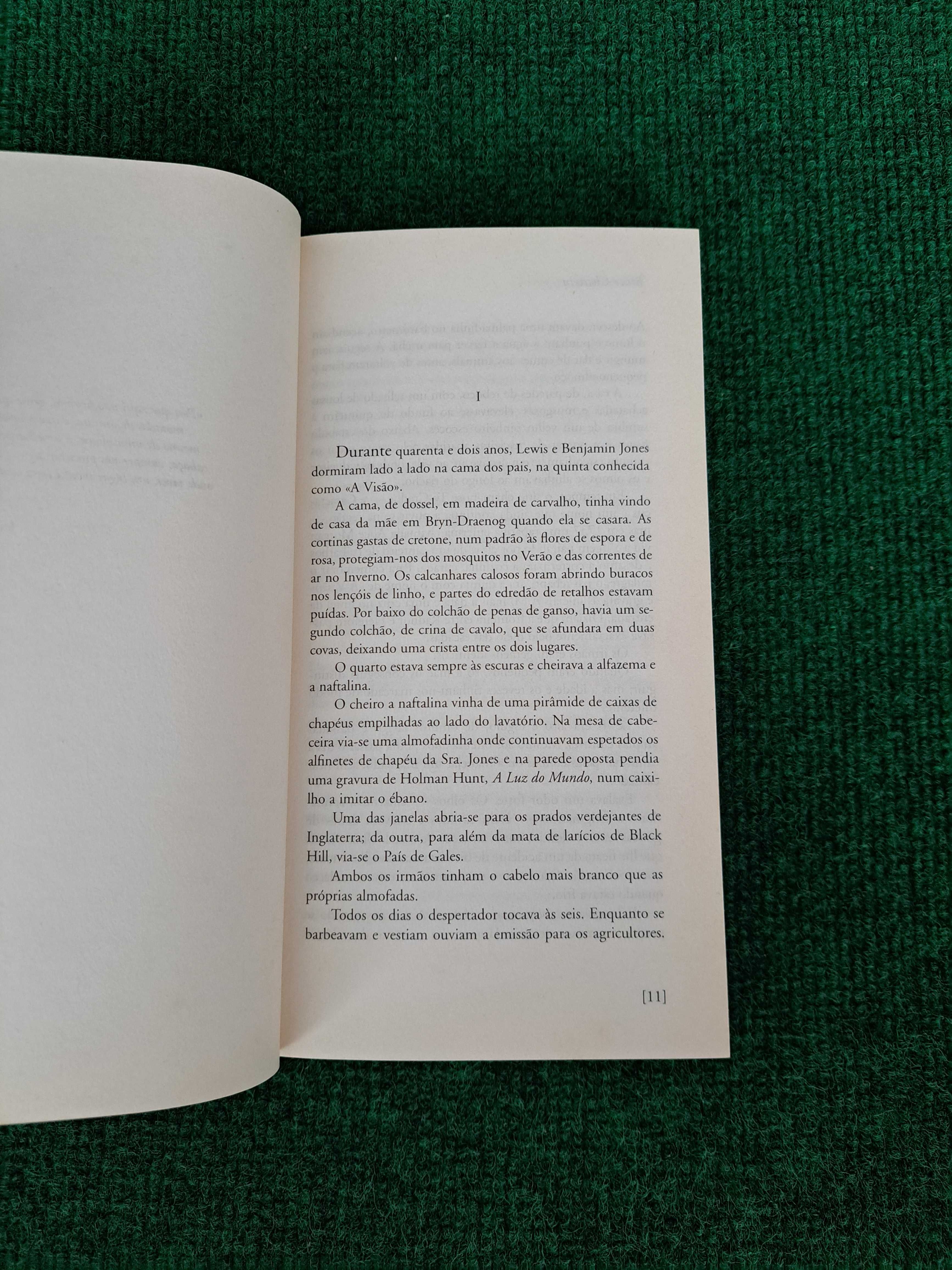 Os Gémeos de Black Hill - Bruce Chatwin