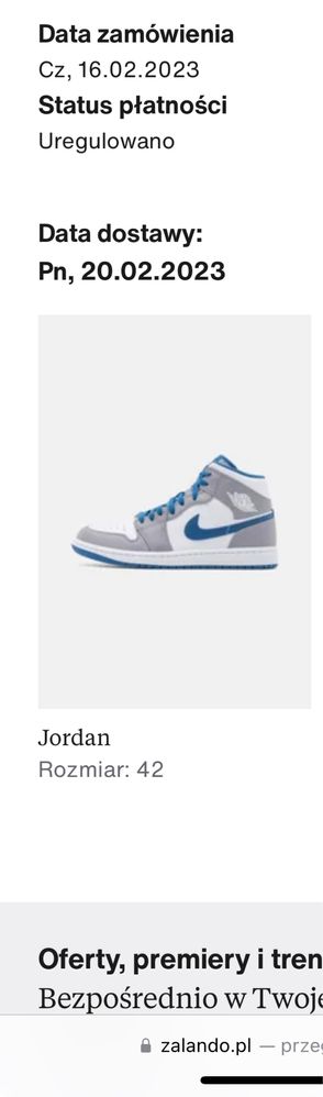 Jordan 1 Mid True Blue 42