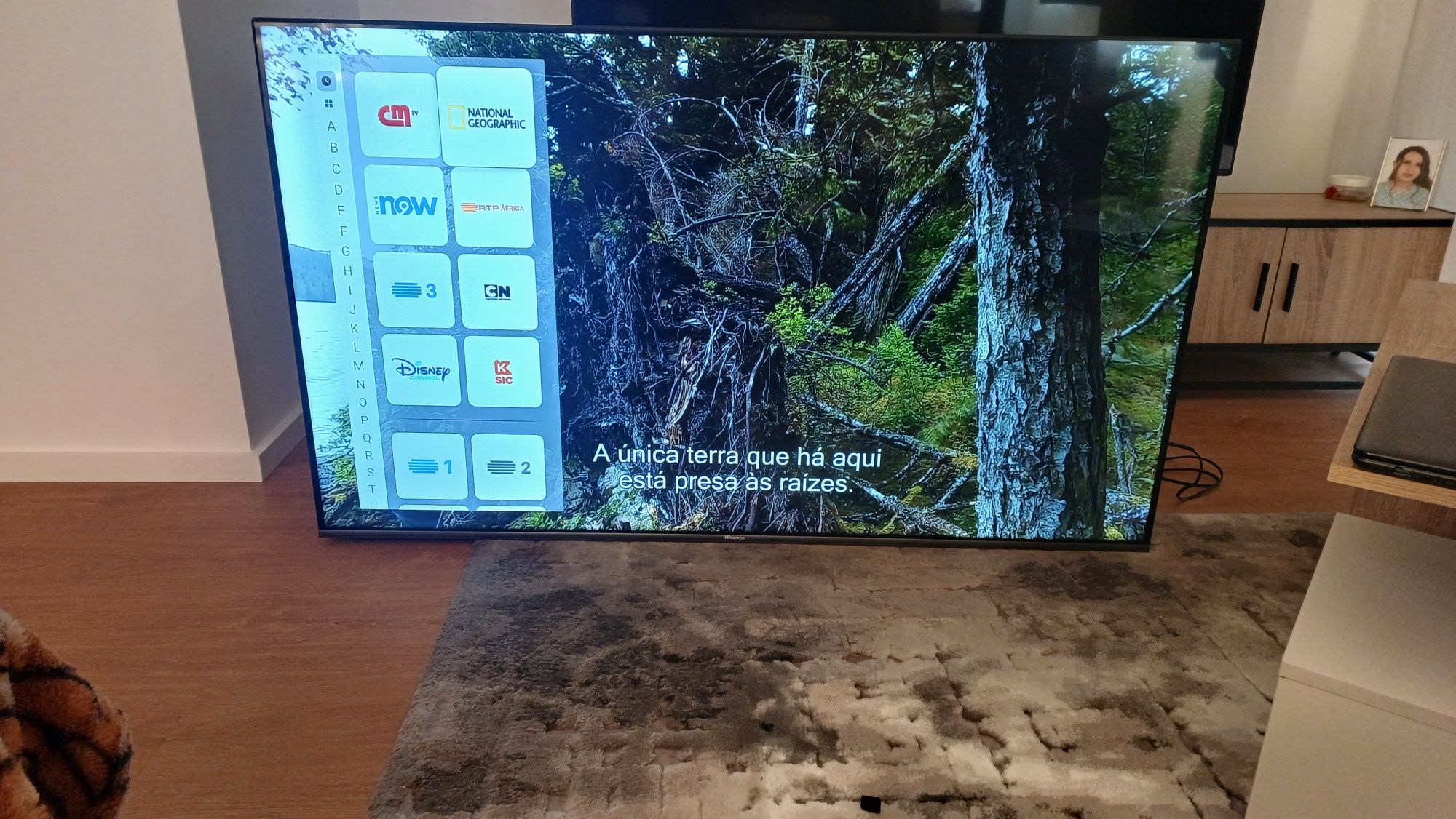 Hisense 58 4K UHD C/GARANTIA 2 anos