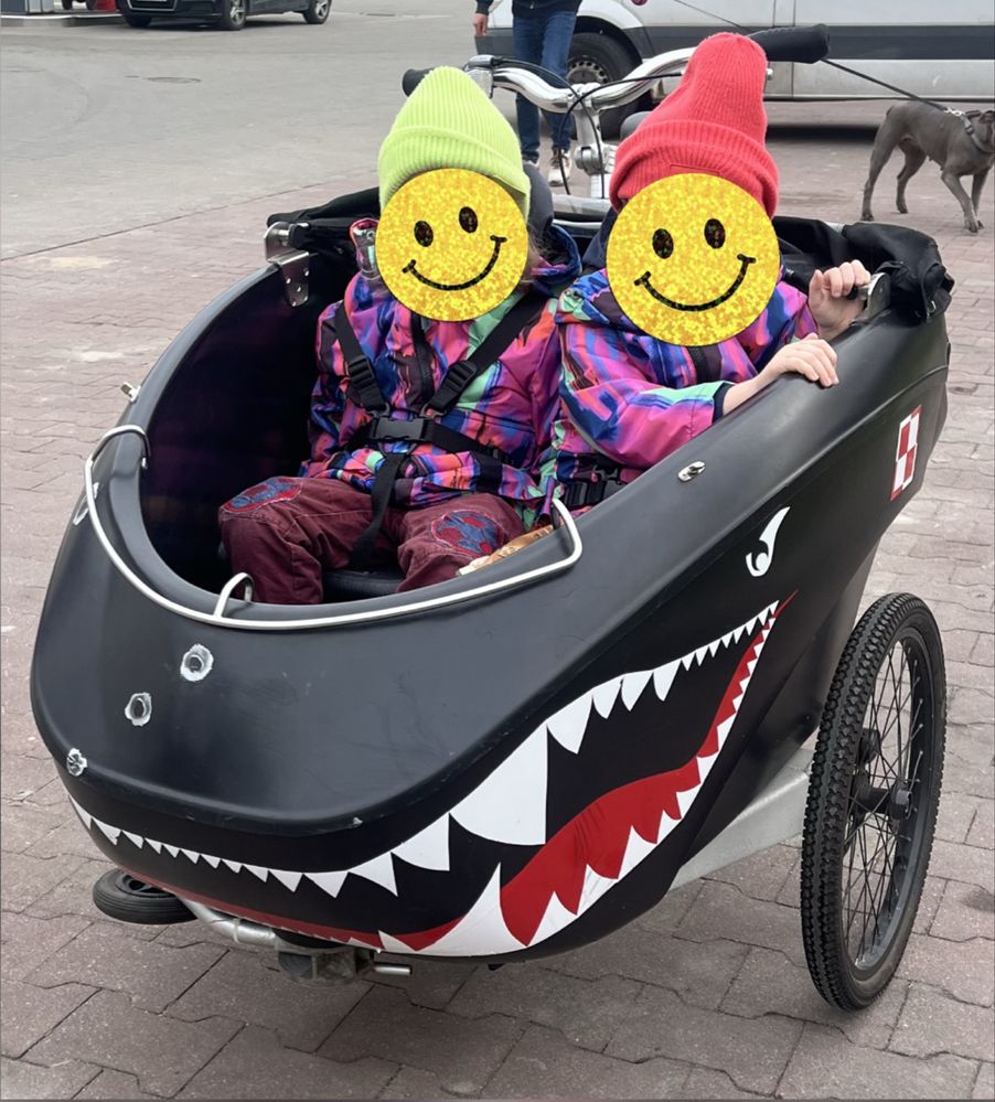 Rower Riksza TrioBike