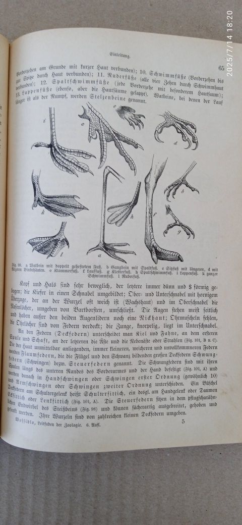 Книга биология 1894года