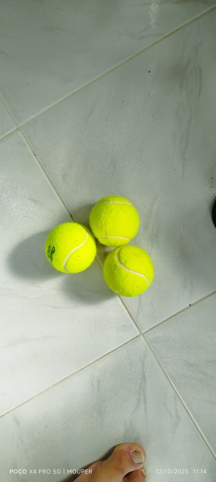 Bolas para cão brincar