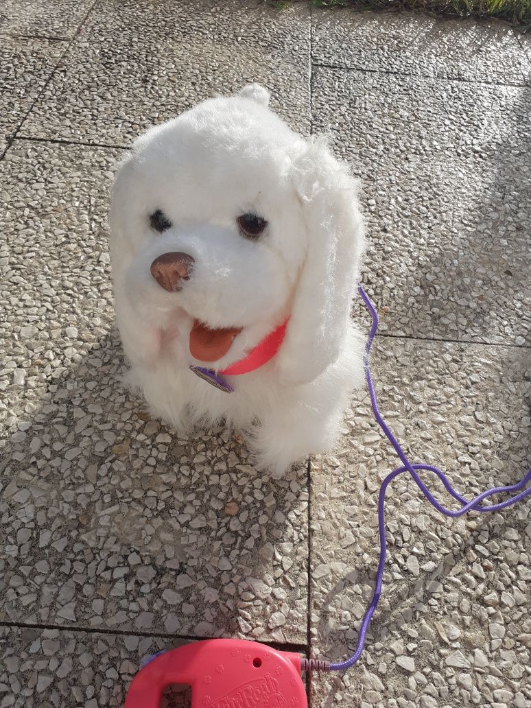 Cão peluche e troley