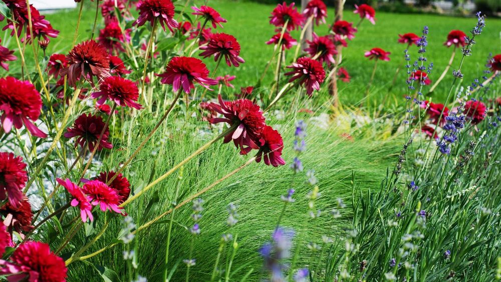 Ogrodnik= Prace ogrodowe. Pielenie.Porządki.
