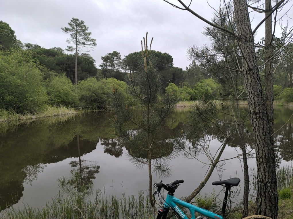 Vendo bicicleta de enduro roda 26