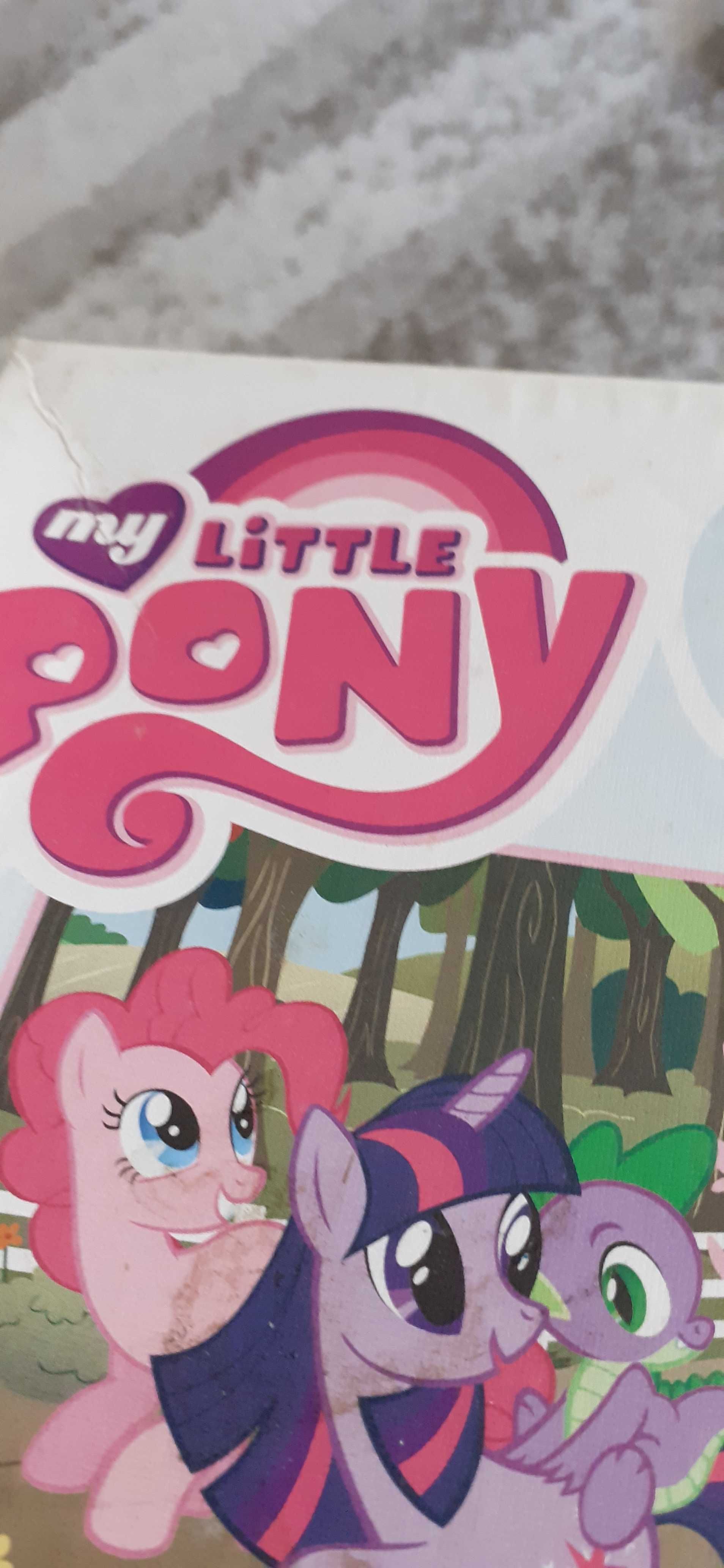 Puzzle Pony wesołe kucyki