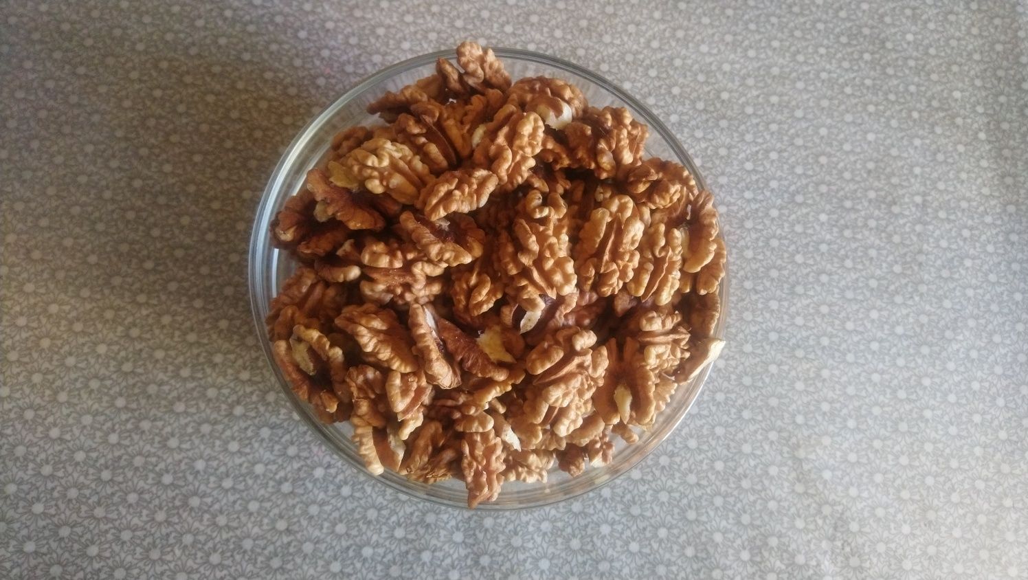 MIOLO de Noz Bio
