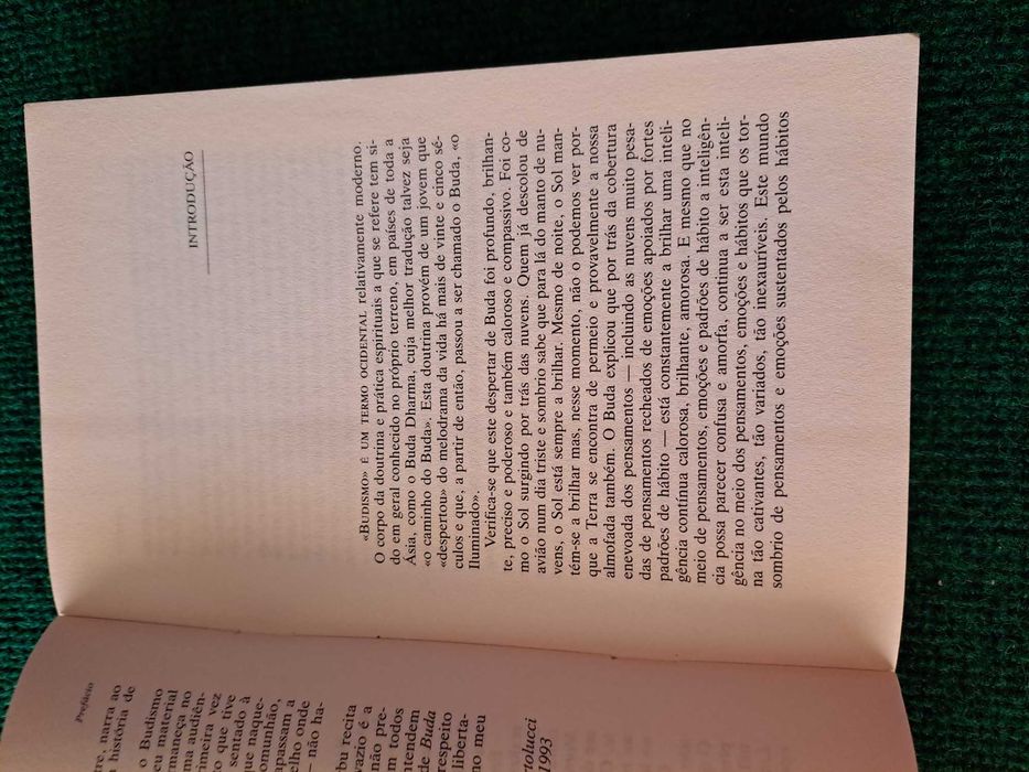 Buda e os seus ensinamentos - Samuel Bercholz e Sherab Chödzin Kohn