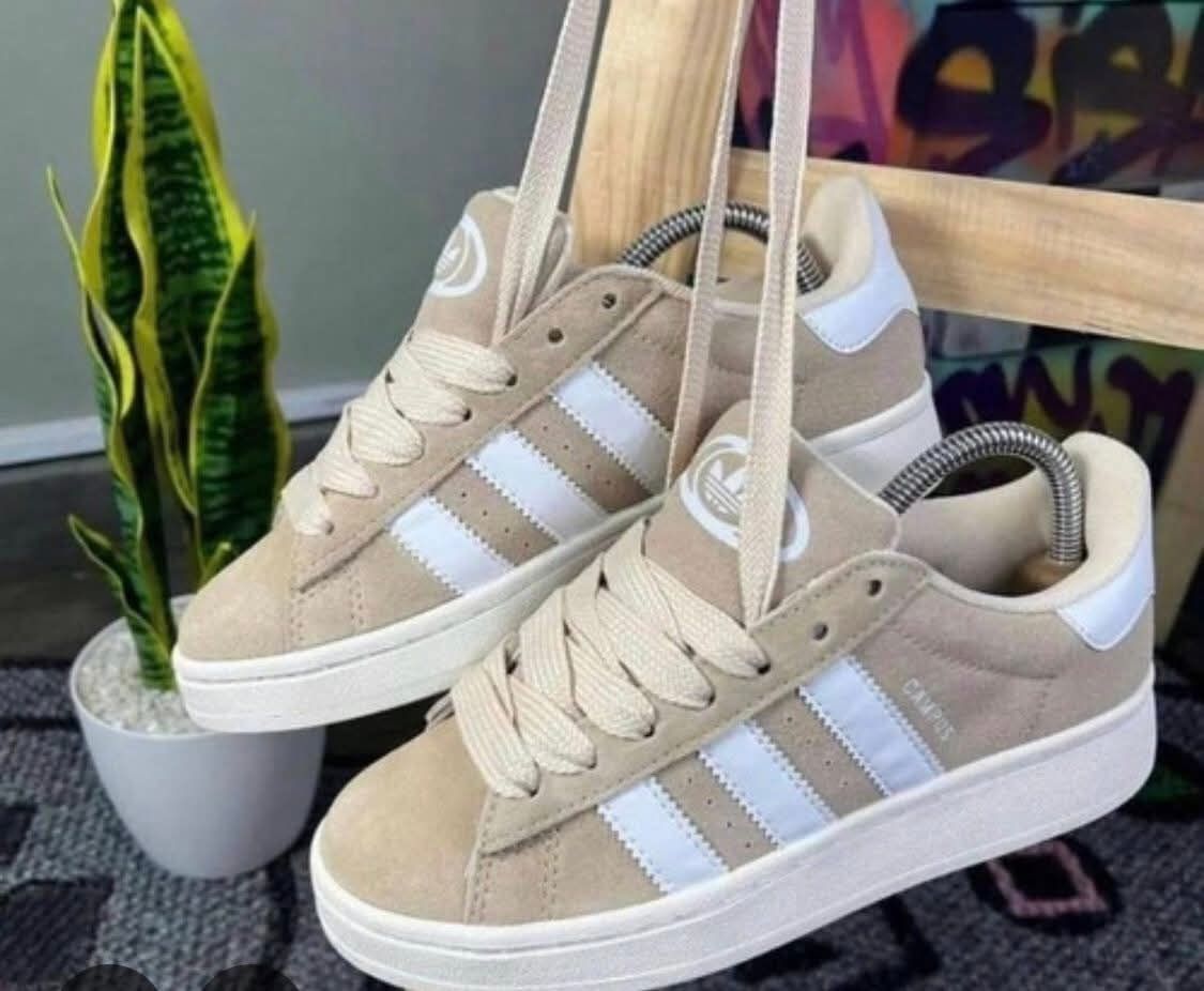 Campus adidas novos