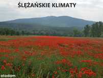 Ślężańskie klimaty