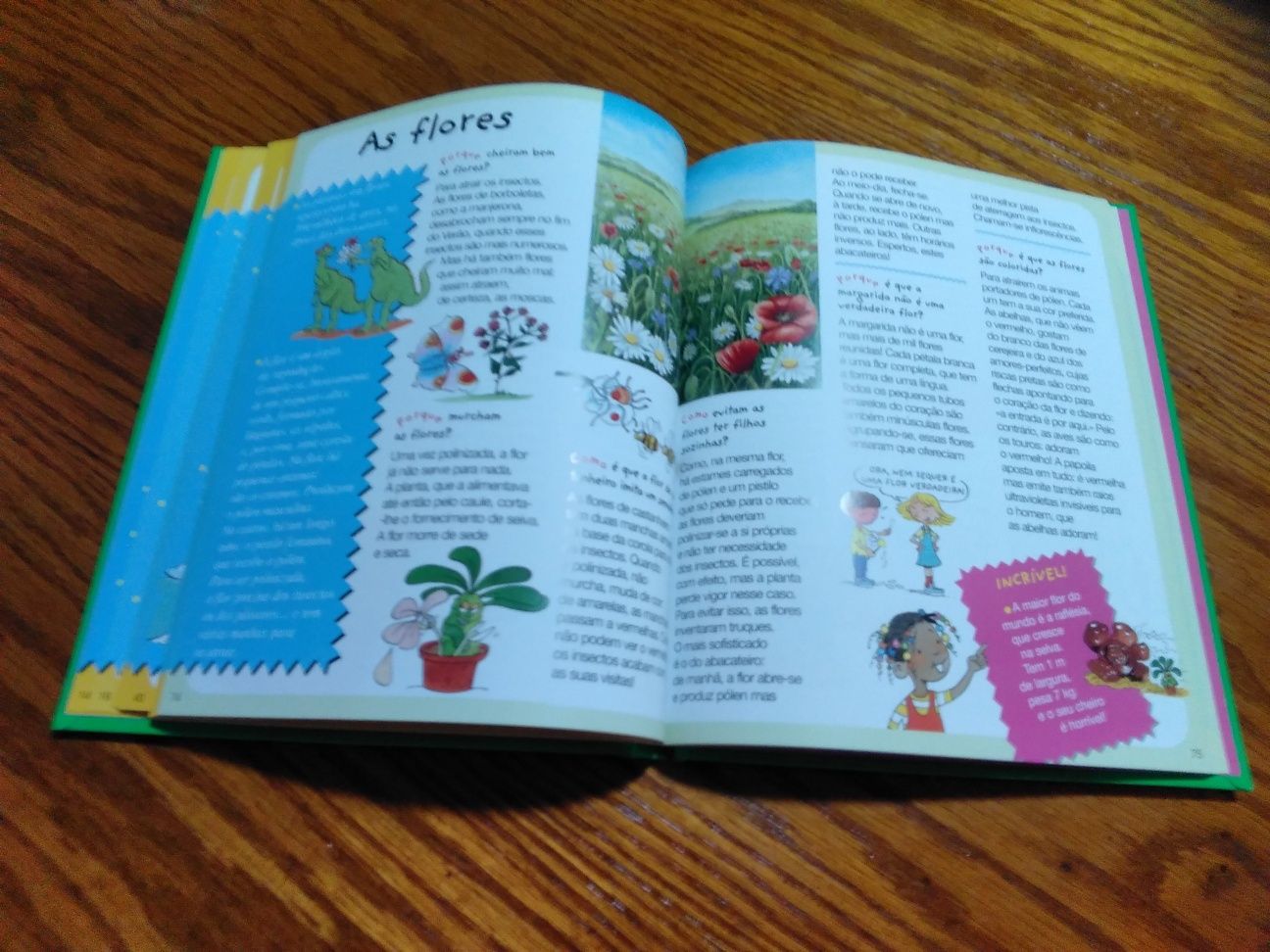 Livro - A Natureza