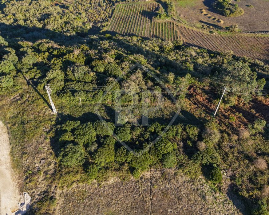 Terreno Rústico para Venda