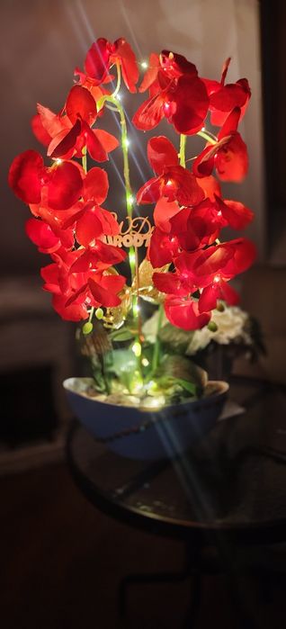 Piękny ogromny storczyk na prezent święta czerwony świecący LED