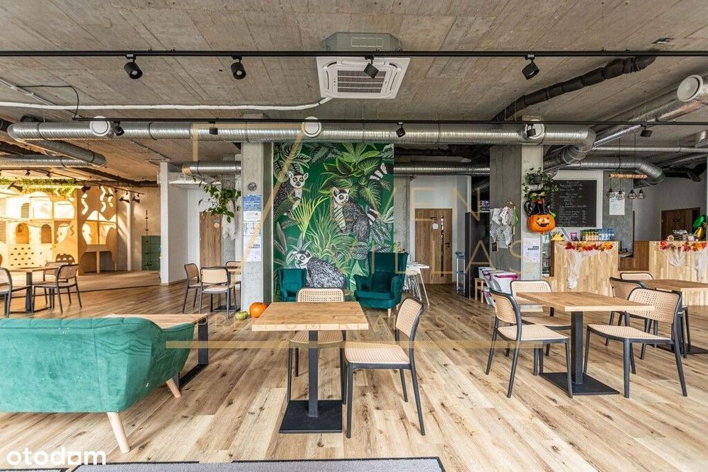 Na sprzedaż funkcjonująca sala zabaw z kawiarnią