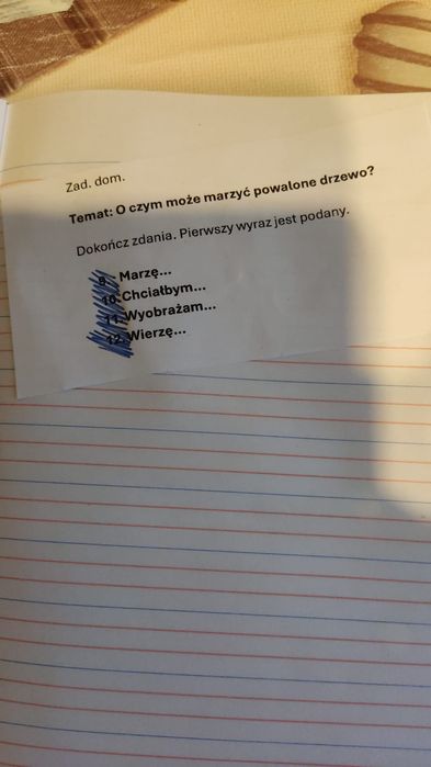 Stare sztućce platerowane widelce
