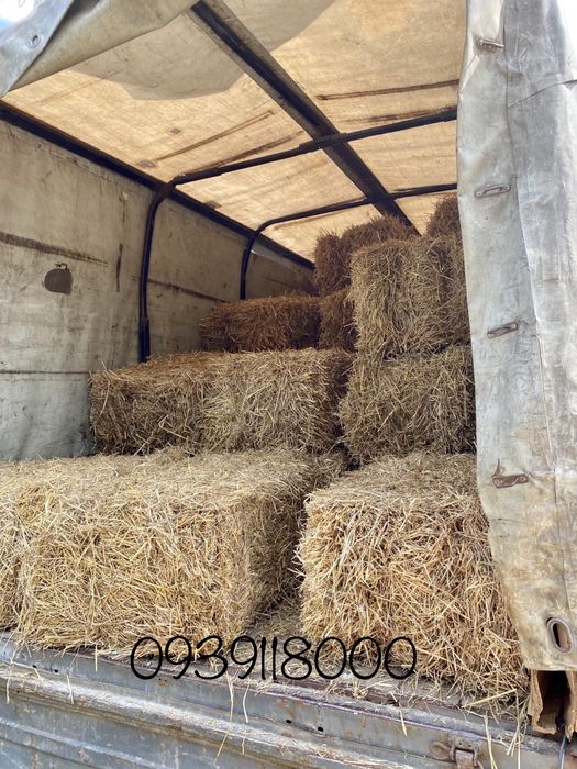 Сіно 2025 рік в тюках Солома Сено Лугове тюки