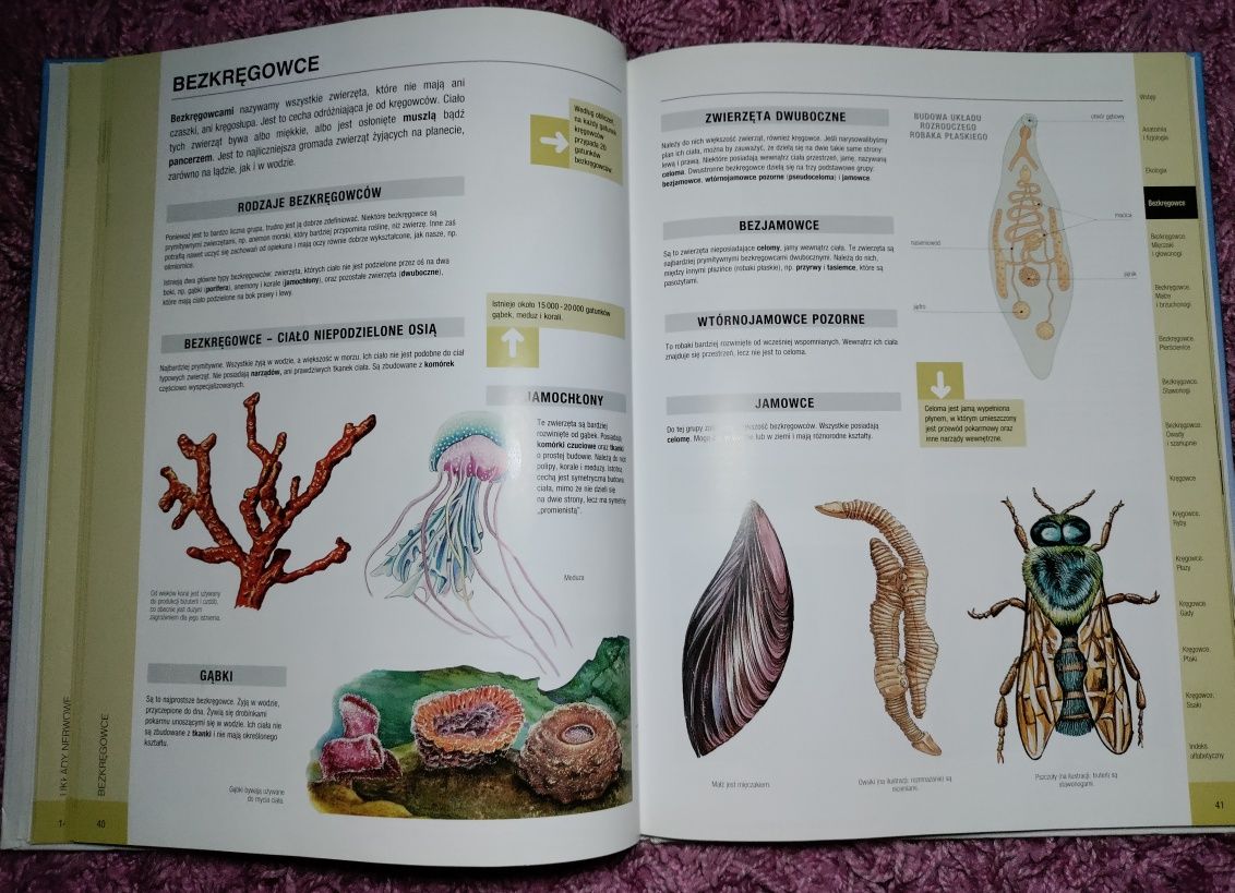 Zoologia SBM książka