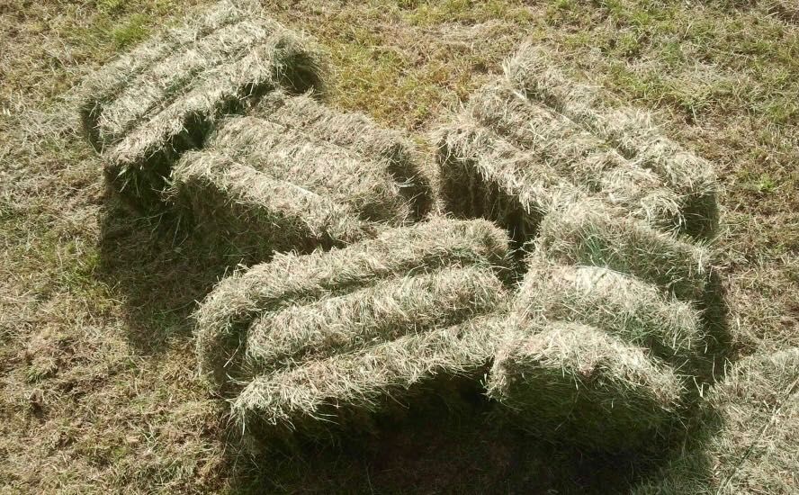 Kostki Siana i Słomy  2025