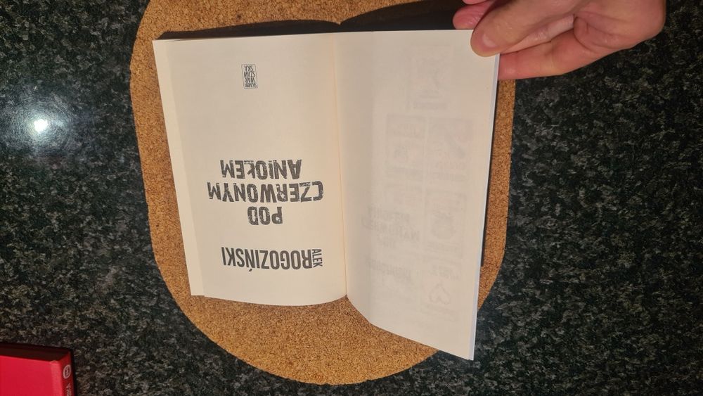 Pod Czerwonym Aniołem Alek Rogoziński
