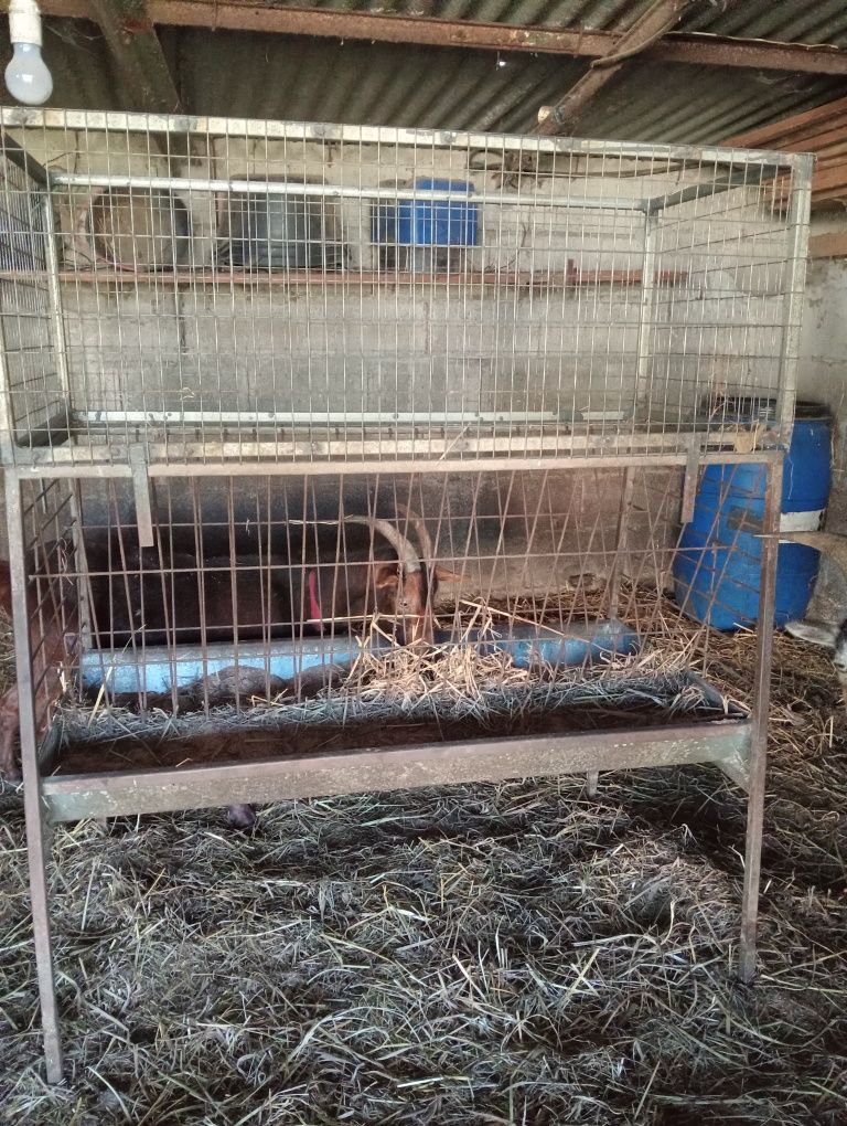 Vendo comedouro para cabras