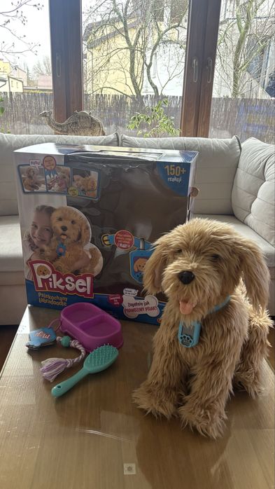 Interaktywny pies Piksel