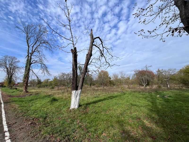 Оренда ділянки під заклади освіти 4га смт.Батьово