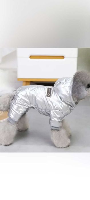 Комбінезон для маленьких порід собачок.