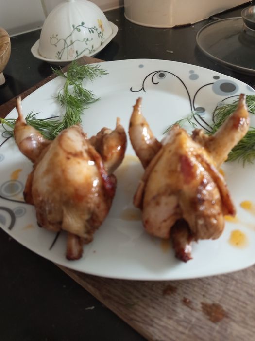 Przepiórki tuszki WYSYŁKA GRATIS!!!