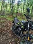 Mustang fortuna 250