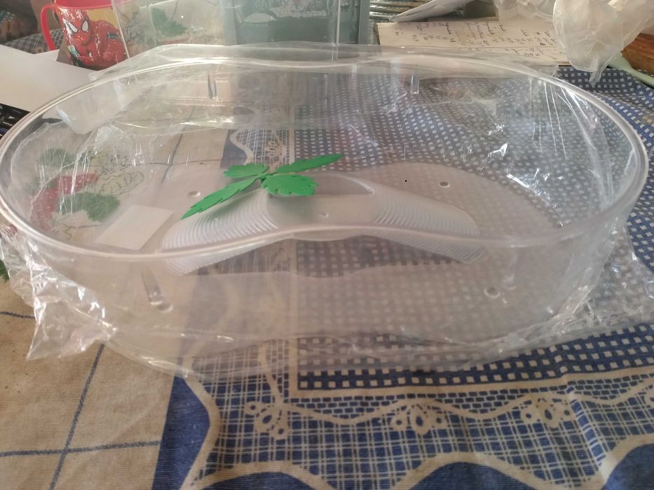 Tartarugueiras novas