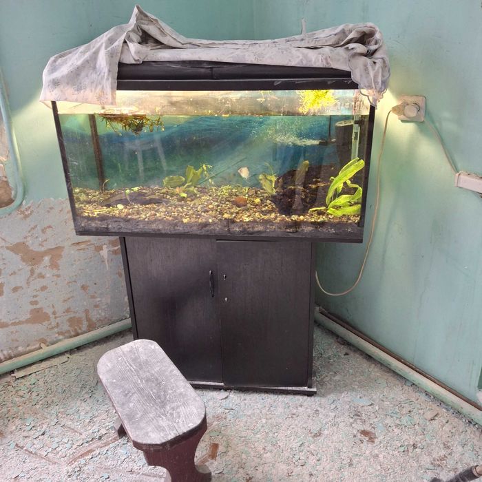 Акваріум на 200 л