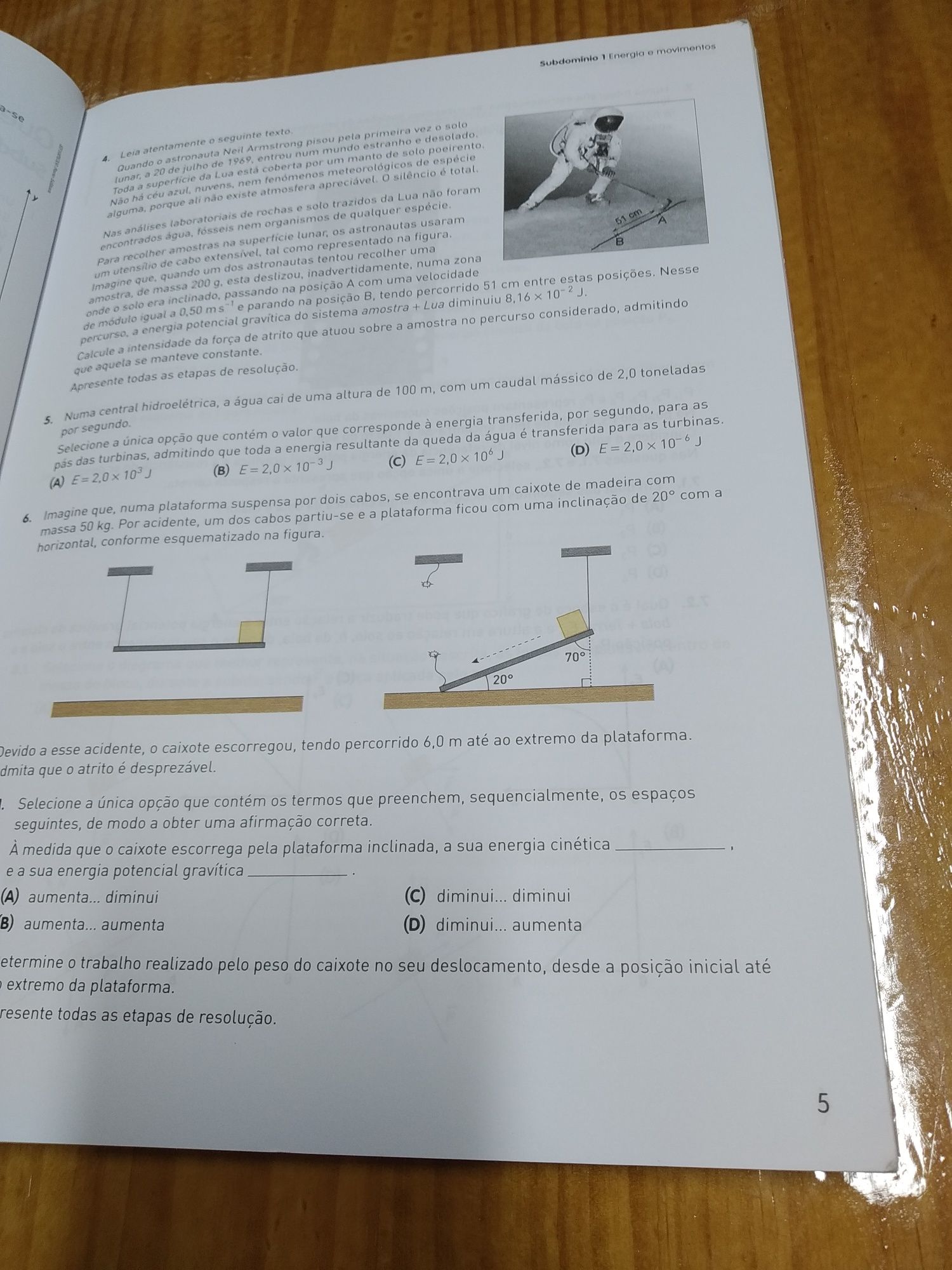 Caderno de atividade eu e a física 10 ano