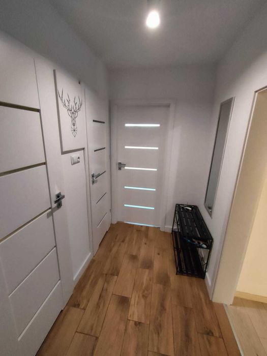 Pokój dla studentki ŚUM 12 minut od uczelni, Kokociniec