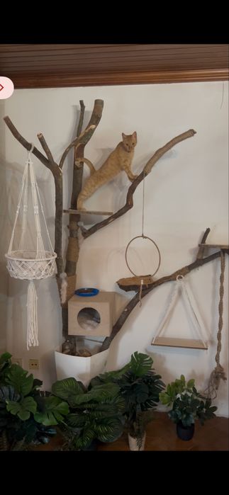 Árvore Natural para Gatos — Feita à Mão com Madeira Real