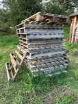 Polbruk Palety 100x100