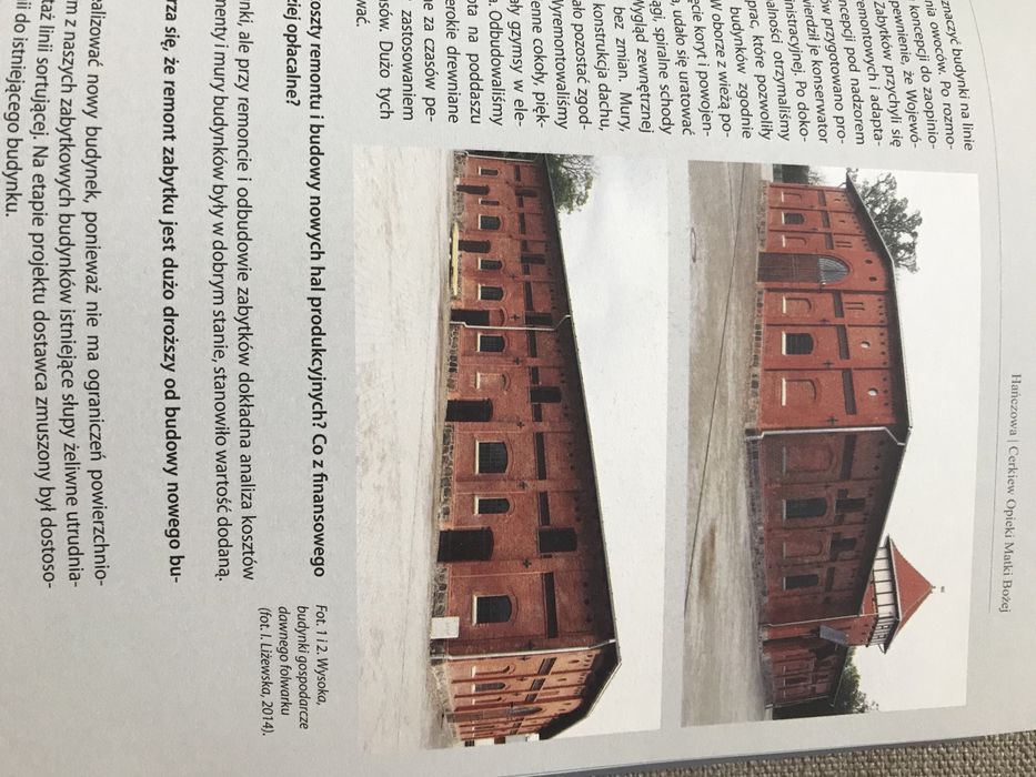 Zabytek zadbany. Co to znaczy? - praca zbiorowa , red. Iwona Liżewska.