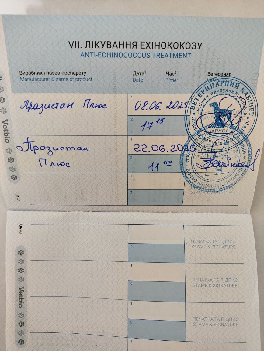 Висловуха шотландська дівчинка. Маленьке  ведмежатко.Всі щеплення