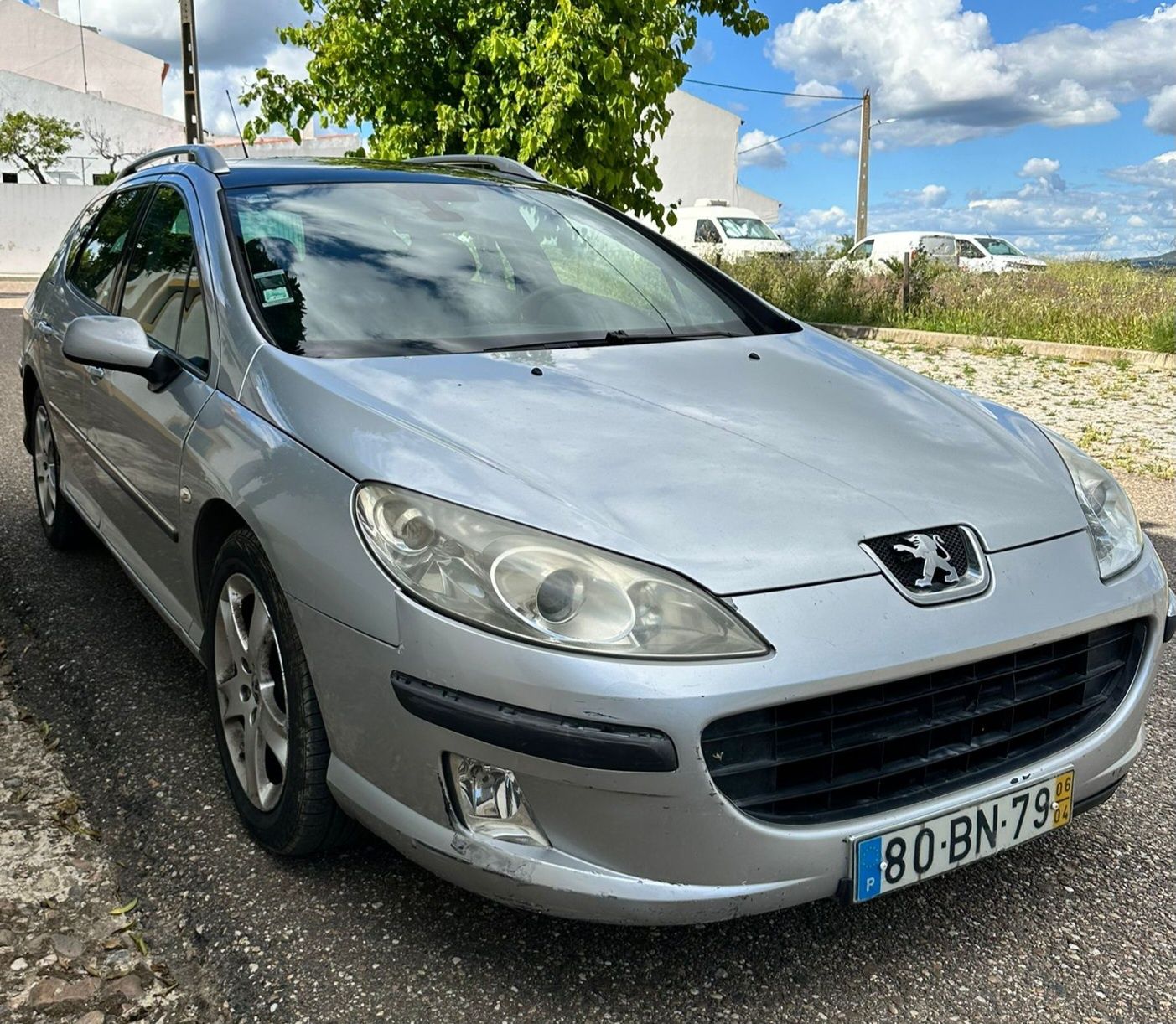 Peugeot 407 SW SPORT