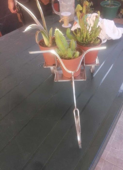 Decoracao de vasos com cactos e soculentas