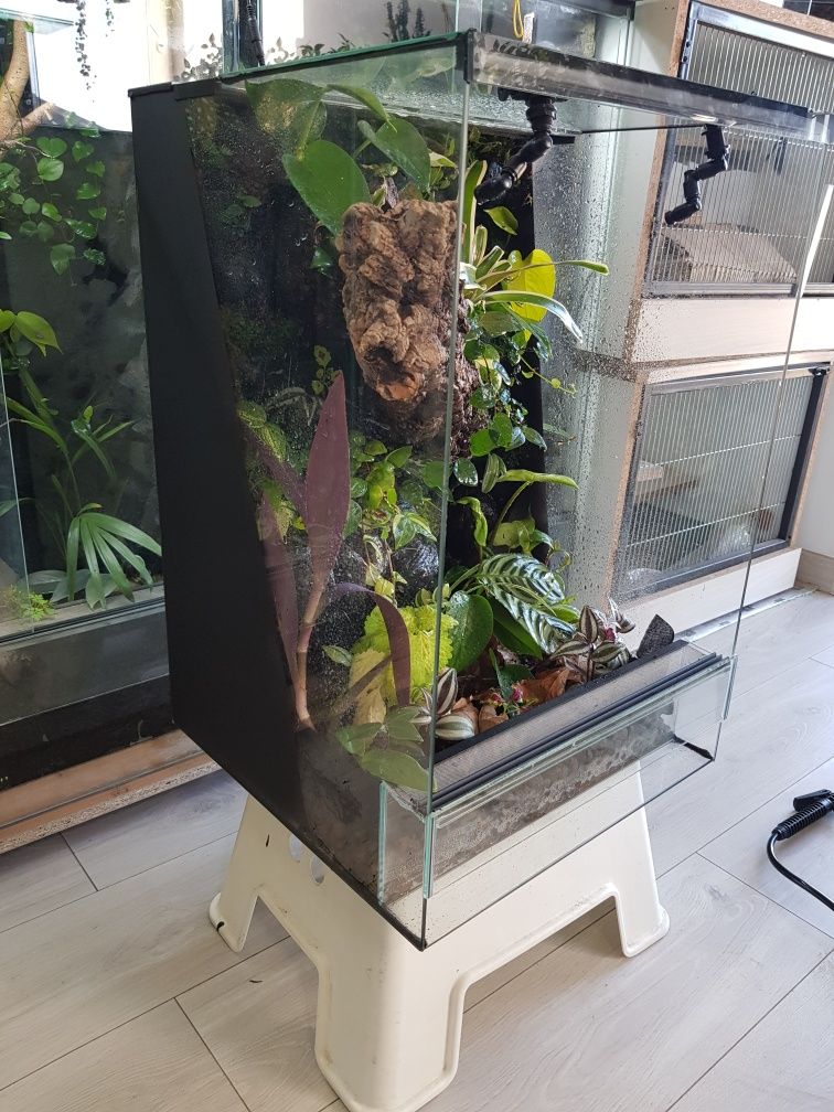 Terrarium 40x40x60 gekon