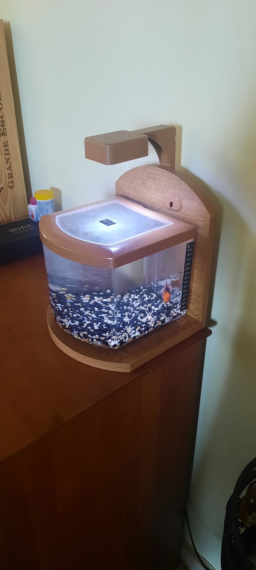 Aquario de 5 litros