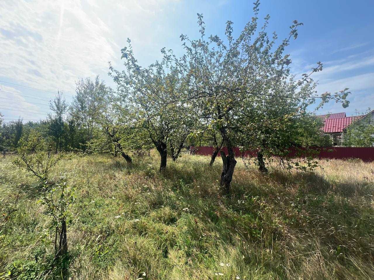 Продаж ділянки 22 сотки під забудову. Світло.Газ.Криниця. ТОРГ. ID:613