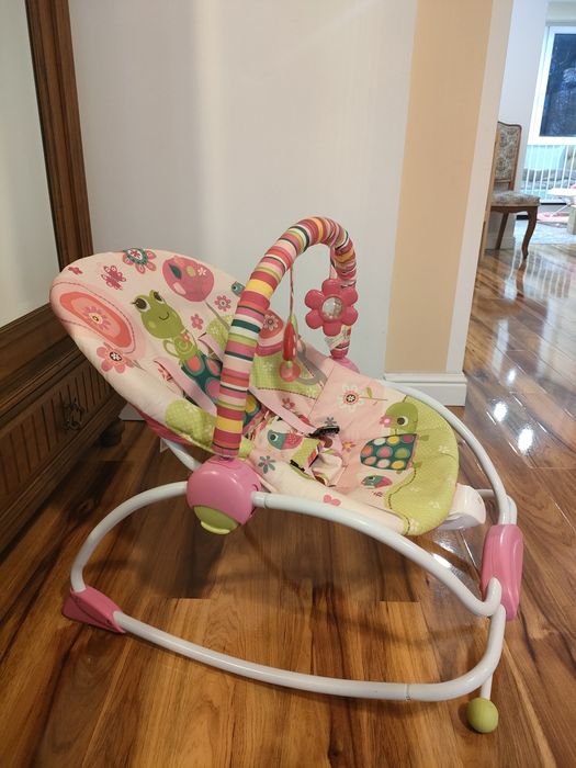 Bujaczek Zielona Żabka