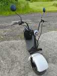 Skuter elektryczny, hulajnoga Fatbike Fatglider, Harley l