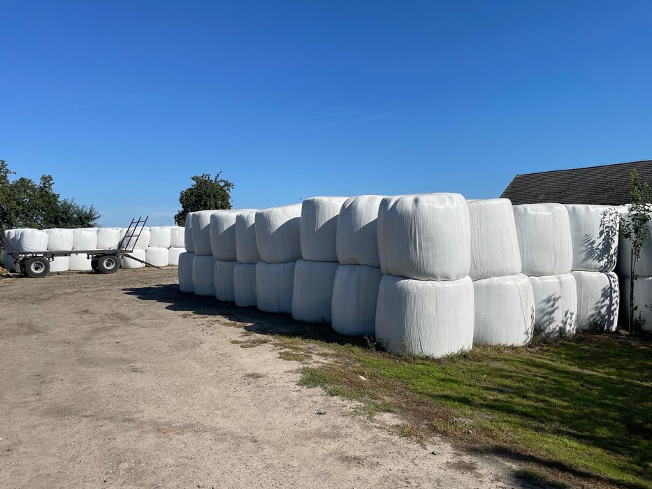 Siano sianokiszonka 2025