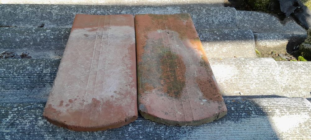 Черепиця дахівка, бобровий хвістт