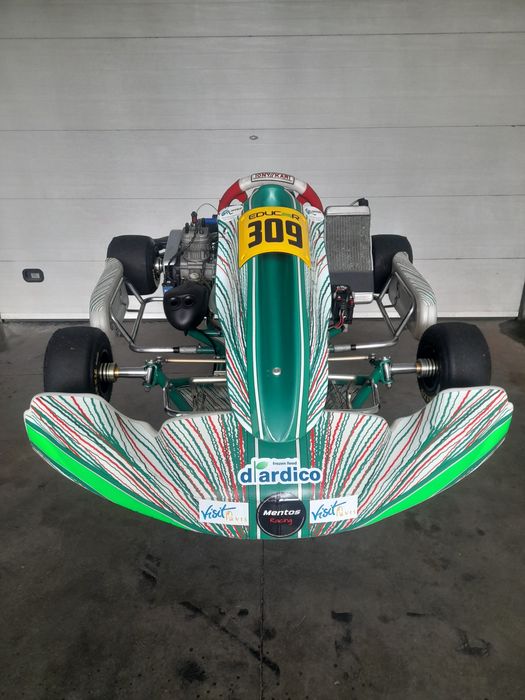 Vendo kart x30 tonikart